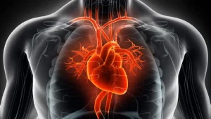 Ανακαλύψτε το Μυστικό: Τι Αλλο Τροφοδοτεί η Άσκηση στην Καρδιά σας;!