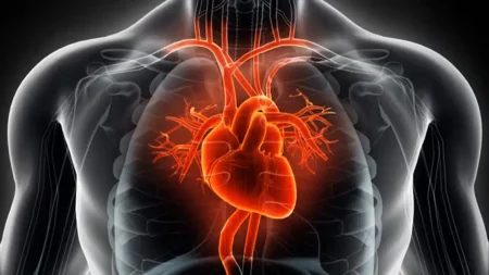 Ανακαλύψτε το Μυστικό: Τι Αλλο Τροφοδοτεί η Άσκηση στην Καρδιά σας;!