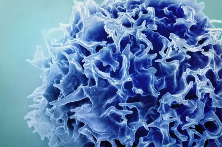 «Ανατρεπτική Ένεση: Πώς Μεταμορφώνει Το Ανοσοποιητικό Σε Σκοπευτή Καρκίνου!»