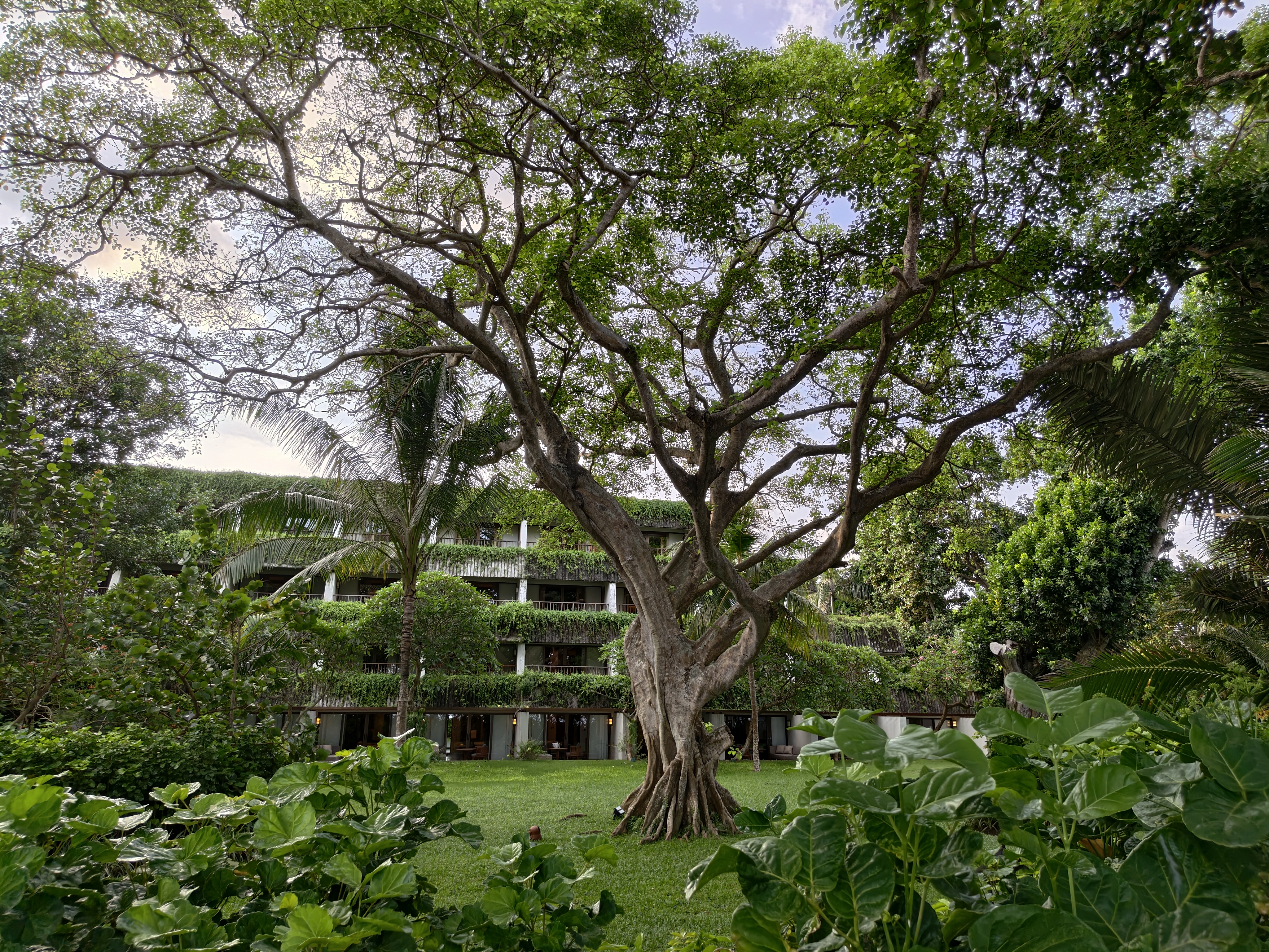 Αναθεώρηση iQOO 15: Οι μεγάλες αναβαθμίσεις συνοδεύονται από εξίσου μεγάλη τιμή Στιγμιότυπα κάμερας iQOO 15 στο Android Central