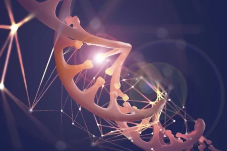 Οι ερευνητές αποκαλύπτουν ένα 4D προσχέδιο του ανθρώπινου γονιδιώματος