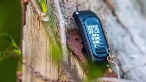 Το Garmin Vivosmart 6 θα έρθει σύντομα για να ταράξει την αγορά του fitness tracker Το Garmin Vivosmart 6 θα έρθει σύντομα για να ταράξει την αγορά του fitness tracker