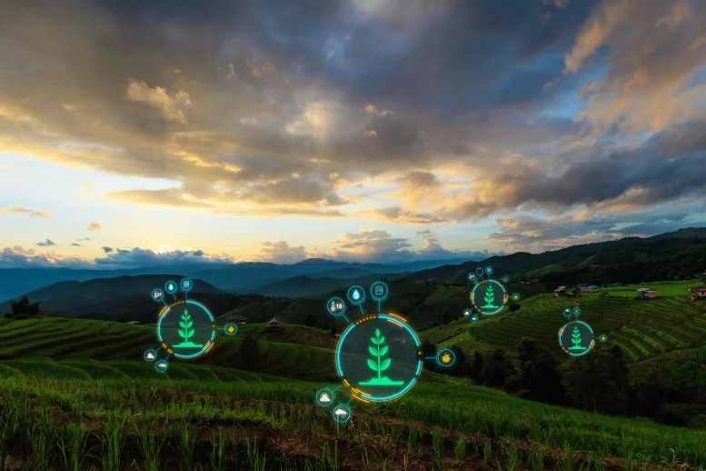 Οι επιστήμονες μετατρέπουν τα απόβλητα τροφίμων σε χρυσό στη γεωργία και καινοτομίες για την υγεία