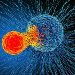 Αυτό το πειραματικό αντικαρκινικό φάρμακο που προκαλείται από όγκους εξαφανίζονται, χωρίς τις επικίνδυνες παρενέργειες