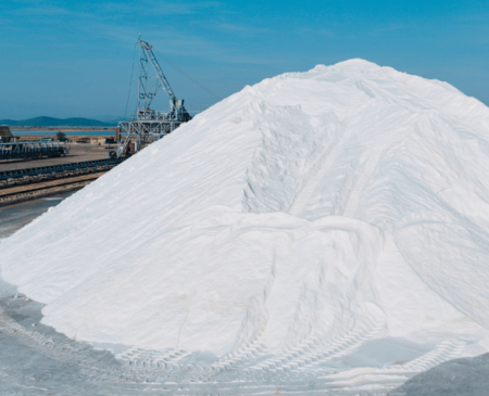 Καταιγιστικές εξελίξεις στις Ελληνικές Αλυκές: Ξεκινά μεγάλος διαγωνισμός για στρατηγικό επενδυτή - Μην το χάσετε!