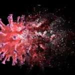 Αυτή η δομή ιικού RNA θα μπορούσε να οδηγήσει σε ένα καθολικό αντιικό φάρμακο