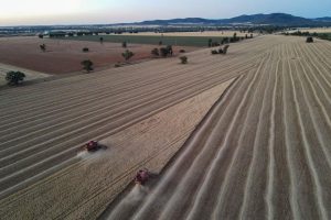 ΗΠΑ: Ο Απόλυτος Εφιάλτης για τους Συναγωνιζόμενους Σιταριού – Χαμηλές Τιμές και Χωρίς Κρατική Στήριξη!
