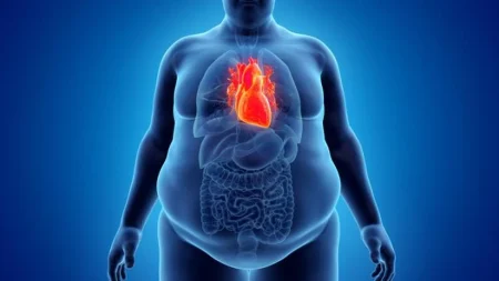 «Δωρεάν φάρμακα για την παχυσαρκία: Μάθε πώς μπορείς να τα αποκτήσεις τώρα!» «Δωρεάν φάρμακα για την παχυσαρκία: Μάθε πώς μπορείς να τα αποκτήσεις τώρα!»