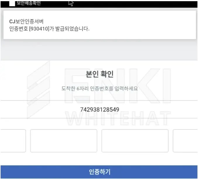 Ψεύτικη οθόνη ελέγχου ταυτότητας (Πηγή - Enki)