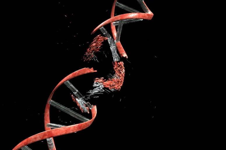 Οι επιστήμονες βρίσκουν ένα εκπληκτικό αδύναμο σημείο στη σπάνια γενετική ασθένεια Οι επιστήμονες βρίσκουν ένα εκπληκτικό αδύναμο σημείο στη σπάνια γενετική ασθένεια