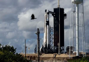 Η SpaceX φέρεται να βρίσκεται σε συνομιλίες για δευτερογενή πώληση αξίας 800 δισεκατομμυρίων δολαρίων, η οποία θα την έκανε την πολυτιμότερη ιδιωτική εταιρεία της Αμερικής Η SpaceX φέρεται να βρίσκεται σε συνομιλίες για δευτερογενή πώληση αξίας 800 δισεκατομμυρίων δολαρίων, η οποία θα την έκανε την πολυτιμότερη ιδιωτική εταιρεία της Αμερικής