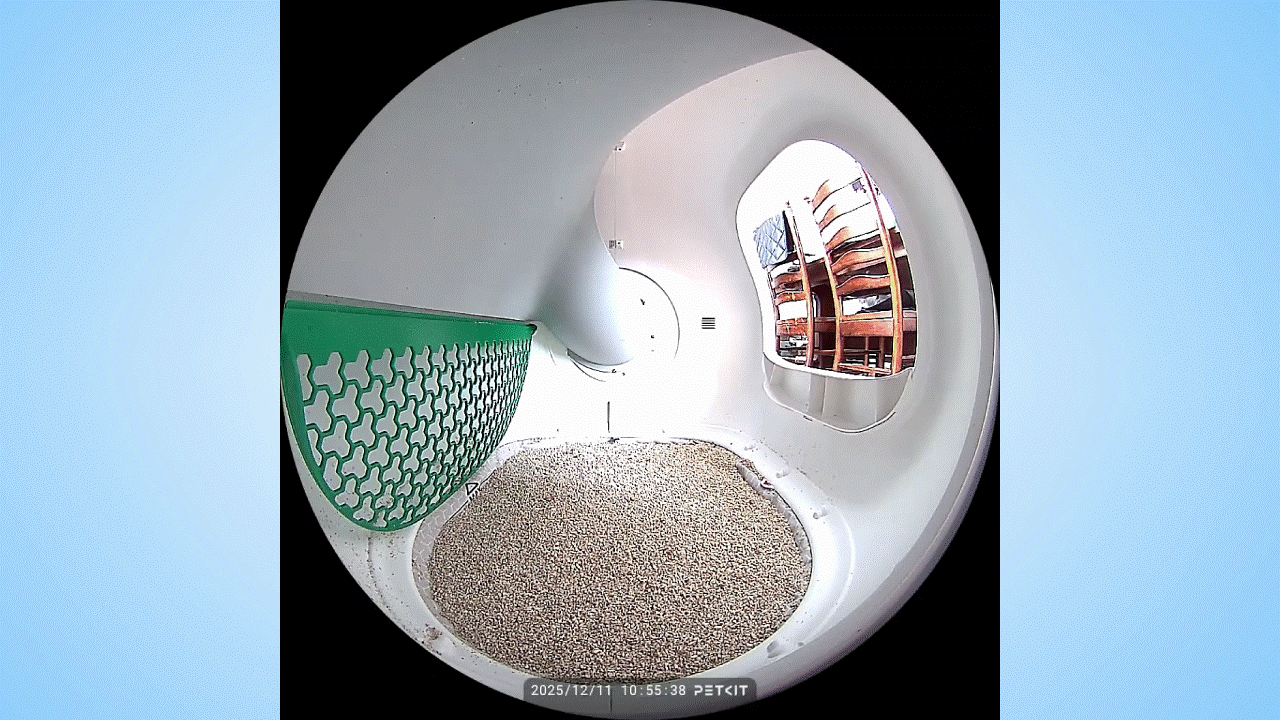 Απίστευτο! Αυτό το νέο ρομποτικό κουτί απορριμμάτων δεν κατασκοπεύει απλά τις γάτες μου – αποκαλύπτει μυστικά που δεν φαντάζεστε! Γάτα που χρησιμοποιεί το Petkit Purobot Max Pro 2.