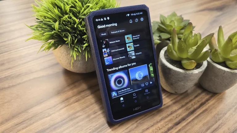 Black HiBy R5 Gen. II digital audio player leaning against a small plant on a wood desk
