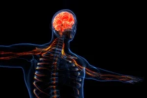 Η βλάβη των νεύρων μπορεί να διαταράξει την ανοσία σε ολόκληρο το σώμα