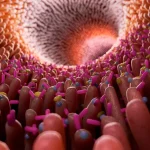 Εκατοντάδες καθημερινές χημικές ουσίες που βρέθηκαν να βλάψουν τα ευεργετικά βακτήρια του εντέρου