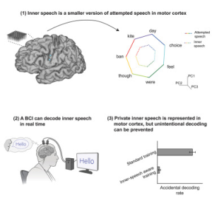 Ανακαλύψτε την Επανάσταση: Η Μοναδική Τεχνολογία Που Επιστρέφει τη Φωνή στους Ασθενείς Μέσω της Σκέψης! Ανακαλύψτε την Επανάσταση: Η Μοναδική Τεχνολογία Που Επιστρέφει τη Φωνή στους Ασθενείς Μέσω της Σκέψης!