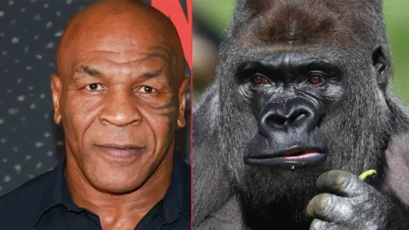 Δείτε πώς ο Mike Tyson προκάλεσε γορίλα σε ιστορικό αγώνα πυγμαχίας σε ζωολογικό κήπο!