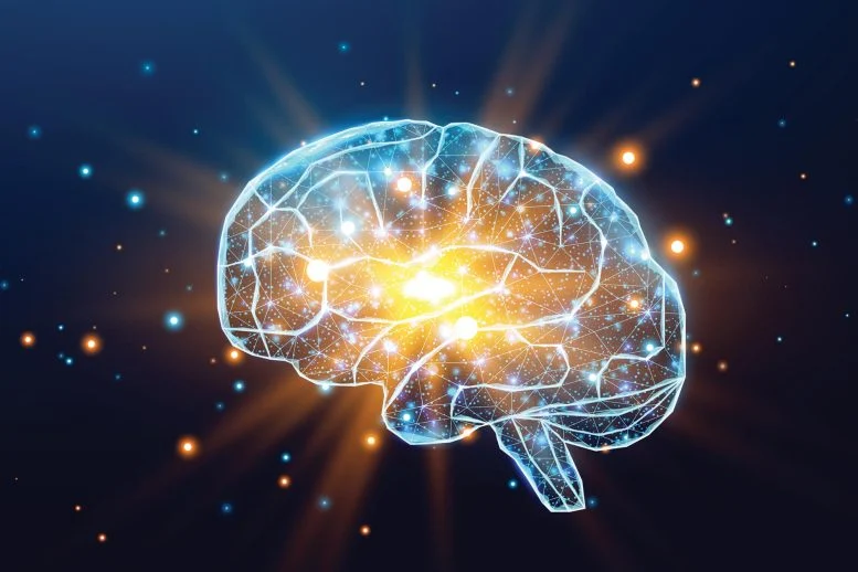 Ένα φυσικό μόριο δείχνει εκπληκτική δύναμη κατά του Αλτσχάιμερ Ένα φυσικό μόριο δείχνει εκπληκτική δύναμη κατά του Αλτσχάιμερ