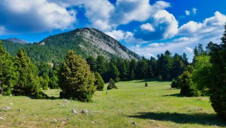 «Ανακαλύψτε τα Απόρθητα Βουνά του Πάρνωνα και των Τζουμέρκων: Ένας Παραδείσιος Κόσμος σας Περιμένει!» «Ανακαλύψτε τα Απόρθητα Βουνά του Πάρνωνα και των Τζουμέρκων: Ένας Παραδείσιος Κόσμος σας Περιμένει!»