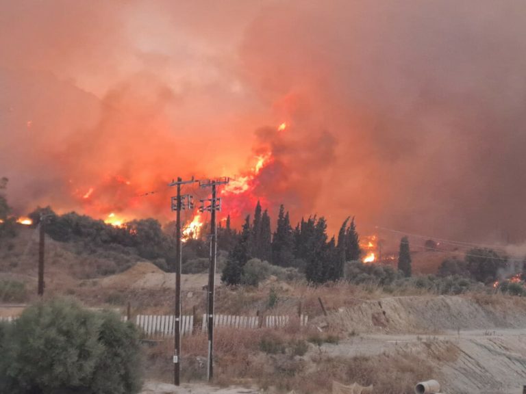 Έρχονται Ρομποτικά Σκυλιά στην Ελλάδα το Καλοκαίρι του 2026: Η Επαναστατική Τεχνολογία για την Καταπολέμηση Πυρκαγιών!