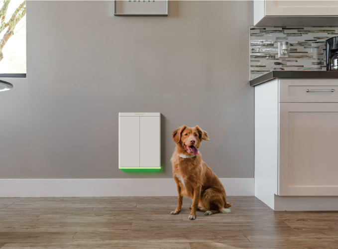 Αυτά είναι τα καλύτερα gadget για το κατοικίδιο σας αυτή τη στιγμή σκύλος μπροστά από την πόρτα σκυλιών Pawport