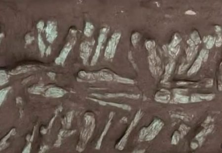 «Ανατριχίλα! Η Μούμια του Φαραώ Σεσόνκ Γ΄ Μυστηριωδώς Ταυτοποιήθηκε από Αγαλματίδια Υπηρετών στην Αρχαία Τάνιδα!»