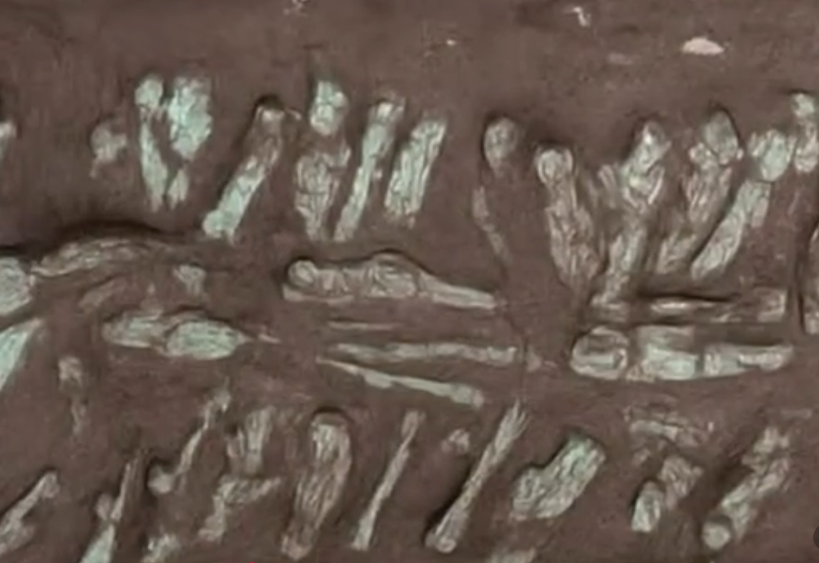 «Ανατριχίλα! Η Μούμια του Φαραώ Σεσόνκ Γ΄ Μυστηριωδώς Ταυτοποιήθηκε από Αγαλματίδια Υπηρετών στην Αρχαία Τάνιδα!» «Ανατριχίλα! Η Μούμια του Φαραώ Σεσόνκ Γ΄ Μυστηριωδώς Ταυτοποιήθηκε από Αγαλματίδια Υπηρετών στην Αρχαία Τάνιδα!»