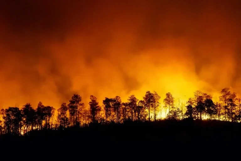 Αυτό που συμβαίνει στον Αμαζόνιο αυτή τη στιγμή είναι τρομακτικοί επιστήμονες