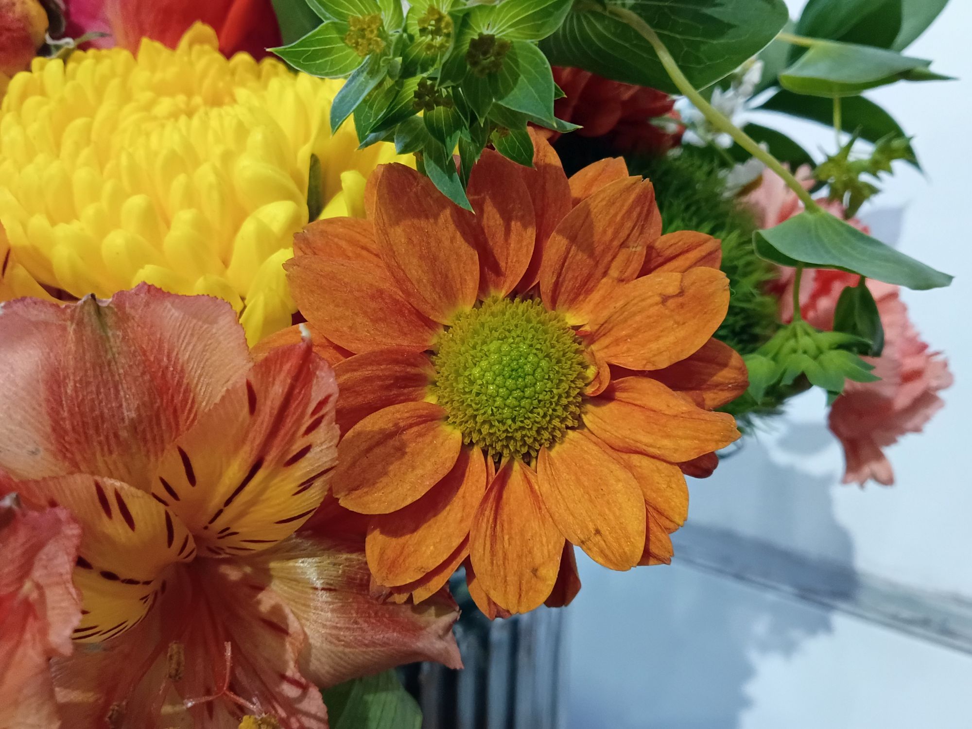 Motorola Moto G Play (2026): Ένα Φθηνό Smartphone που Σίγουρα Δεν Θέλεις! Δείγμα κάμερας Motorola Moto G Play (2026).