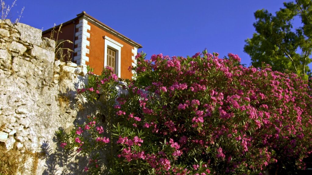 «Ανακαλύψτε τον Σπόρο Ιδεών που Ανάβει Φωτιές στο Νομό Χανίων – Μην τον Χάσετε!» SPOROS EP07 PHOTO 22