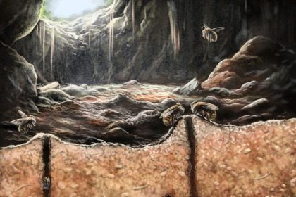 Απολιθώματα μέσα σε απολιθώματα: Η παράξενη ανακάλυψη κρυμμένη σε μια σπηλιά της Καραϊβικής