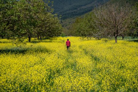«Ανακαλύψτε το «Σπόρος»: Η Νέα Επαναστατική Σειρά Ντοκιμαντέρ της ΕΡΤ3 που Θα σας Μαγέψει!» «Ανακαλύψτε το «Σπόρος»: Η Νέα Επαναστατική Σειρά Ντοκιμαντέρ της ΕΡΤ3 που Θα σας Μαγέψει!»