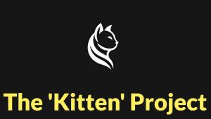 The 'Kitten' Project - Ομάδες Χακτιβιστών που πραγματοποιούν επιθέσεις με στόχο το Ισραήλ