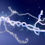 Οι επιστήμονες έκαναν λάθος για δεκαετίες: Αυτό που έμοιαζε με κόμπους DNA αποδείχτηκε ότι ήταν κάτι πολύ πιο στριμμένο