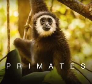 Αποκάλυψη: Ανακαλύψτε τους Προϊστορικούς Γίγαντες! Κάθε Πέμπτη με τον Ατένμπορο στο VIASAT NATURE – ! Αποκάλυψη: Ανακαλύψτε τους Προϊστορικούς Γίγαντες! Κάθε Πέμπτη με τον Ατένμπορο στο VIASAT NATURE - !