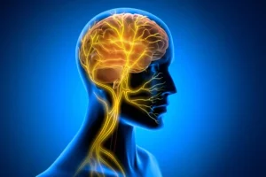 Ένα κρυφό εγκεφαλικό σήμα μπορεί να προστατεύσει τη γερασμένη καρδιά