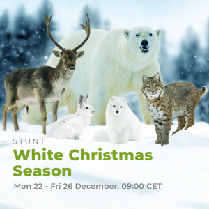 «Μαγευτικά Χριστούγεννα με Χιόνι και Άγριες Περιπέτειες στο VIASAT NATURE – Δείτε τι σας Περιμένει!» «Μαγευτικά Χριστούγεννα με Χιόνι και Άγριες Περιπέτειες στο VIASAT NATURE – Δείτε τι σας Περιμένει!»