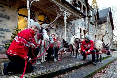«Ανακαλύψτε τα 2 Απίθανα Ντοκιμαντέρ που θα σας Μαγεύσουν αυτή τη Χριστουγεννιάτικη Πρεμιέρα στο Viasat Nature!»