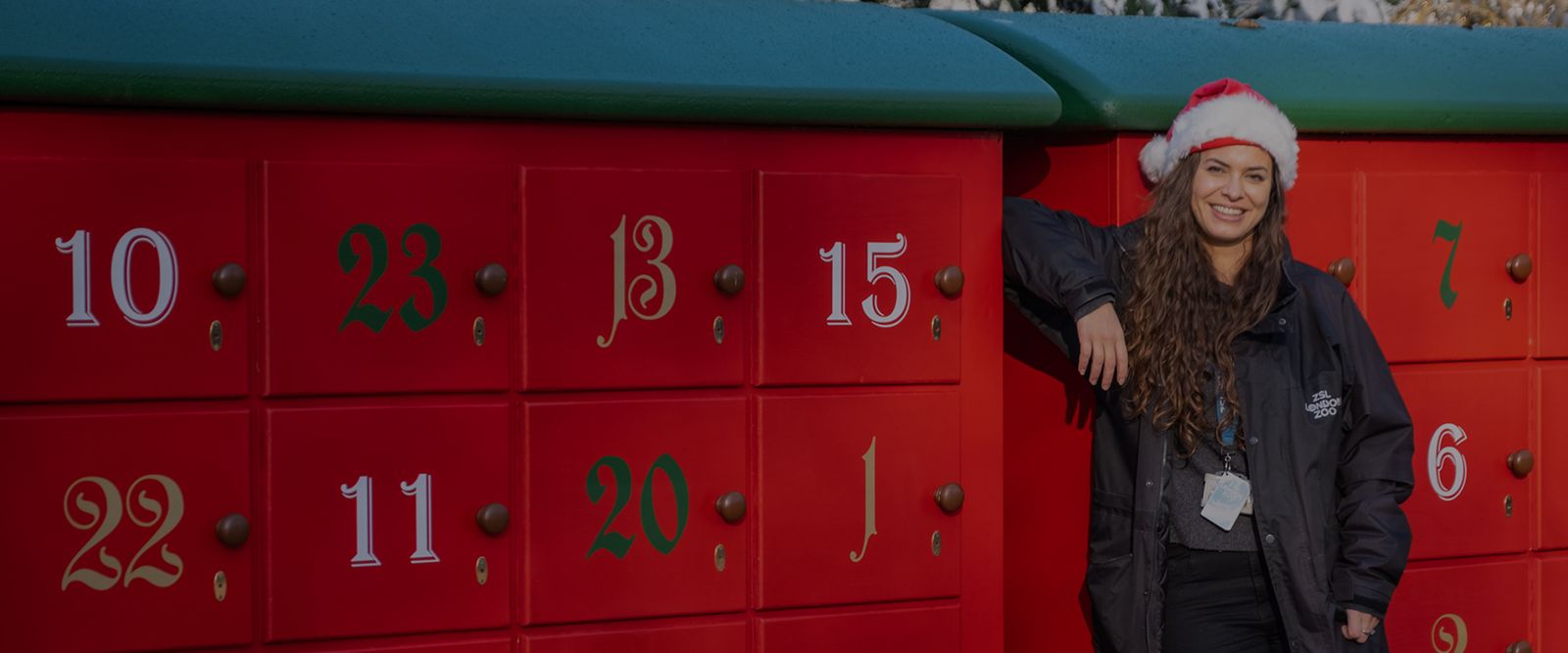 Viasat Nature London Zoo at Christmas 4