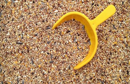 «Σοκ! Ευλογιά προβάτων: Μάθετε πώς 21 εκατ. ευρώ για ζωοτροφές αλλάζουν τα δεδομένα!» «Σοκ! Ευλογιά προβάτων: Μάθετε πώς 21 εκατ. ευρώ για ζωοτροφές αλλάζουν τα δεδομένα!»