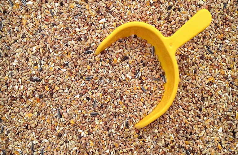 «Σοκ! Ευλογιά προβάτων: Μάθετε πώς 21 εκατ. ευρώ για ζωοτροφές αλλάζουν τα δεδομένα!» «Σοκ! Ευλογιά προβάτων: Μάθετε πώς 21 εκατ. ευρώ για ζωοτροφές αλλάζουν τα δεδομένα!»