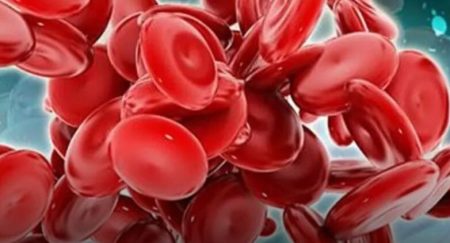 Ανατρεπτική Ανάλυση: Ο Εκρηκτικός Συνδυασμός Teclistamab και Daratumumab που Κάνει Θραύση! Ανατρεπτική Ανάλυση: Ο Εκρηκτικός Συνδυασμός Teclistamab και Daratumumab που Κάνει Θραύση!