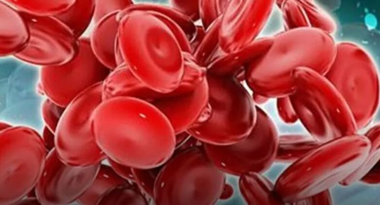 Ανατρεπτική Ανάλυση: Ο Εκρηκτικός Συνδυασμός Teclistamab και Daratumumab που Κάνει Θραύση! Ανατρεπτική Ανάλυση: Ο Εκρηκτικός Συνδυασμός Teclistamab και Daratumumab που Κάνει Θραύση!