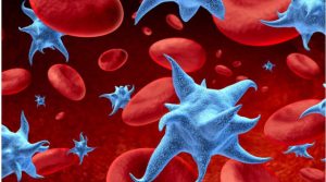 Ανατροπή στην Ιατρική: Η Επλανητική Θεραπευτική Κλινική του ΕΚΠΑ Καταπολεμά το Πολλαπλασιαστικό Μυέλωμα! Ανατροπή στην Ιατρική: Η Επλανητική Θεραπευτική Κλινική του ΕΚΠΑ Καταπολεμά το Πολλαπλασιαστικό Μυέλωμα!