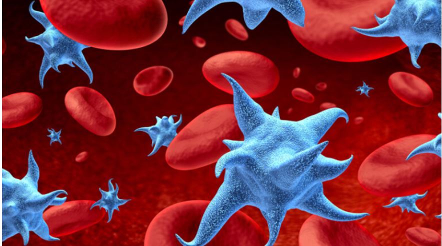 Ανατροπή στην Ιατρική: Η Επλανητική Θεραπευτική Κλινική του ΕΚΠΑ Καταπολεμά το Πολλαπλασιαστικό Μυέλωμα! Ανατροπή στην Ιατρική: Η Επλανητική Θεραπευτική Κλινική του ΕΚΠΑ Καταπολεμά το Πολλαπλασιαστικό Μυέλωμα!