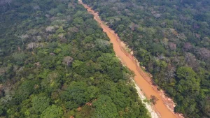 Ανακαλύπτοντας το Χαμένο Βασίλειο του Αμαζονίου: Μυστικά που Θα σας Σοκάρουν! Ανακαλύπτοντας το Χαμένο Βασίλειο του Αμαζονίου: Μυστικά που Θα σας Σοκάρουν!