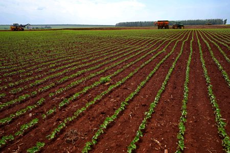 «Ανακάλυψε τον Απίθανο Τρόπο που τα Σεισμικά Κύματα Μπορούν να Αποκαλύψουν την Υγεία του Εδάφους!»