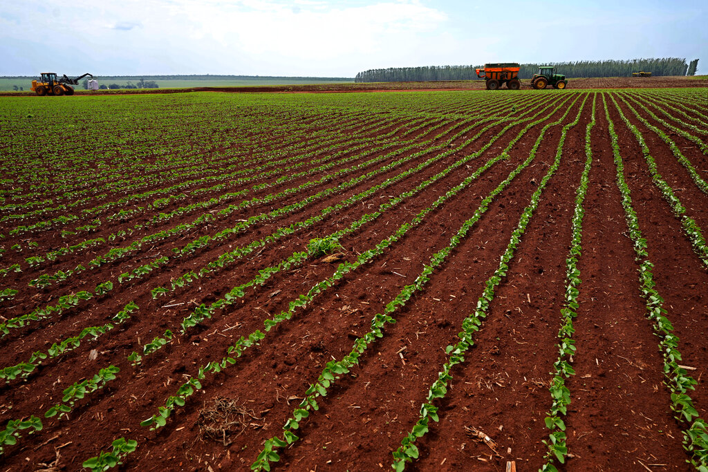 «Ανακάλυψε τον Απίθανο Τρόπο που τα Σεισμικά Κύματα Μπορούν να Αποκαλύψουν την Υγεία του Εδάφους!» «Ανακάλυψε τον Απίθανο Τρόπο που τα Σεισμικά Κύματα Μπορούν να Αποκαλύψουν την Υγεία του Εδάφους!»