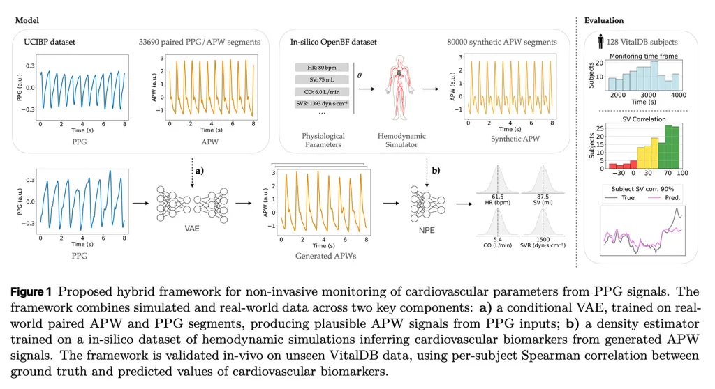 Μελέτη τεχνητής νοημοσύνης δείχνει πώς το Apple Watch θα μπορούσε να εξάγει πλουσιότερα δεδομένα καρδιάς