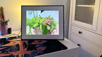 MacRumors 2025 Holiday Gift Guide aura frame bright